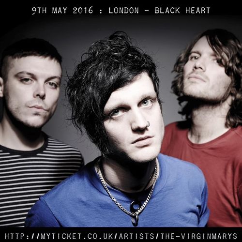 the Virginmarys