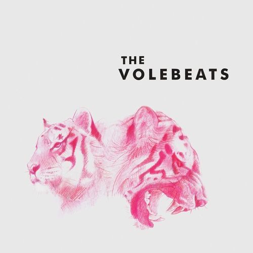 The Volebeats