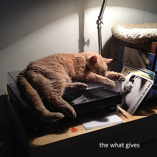 The What Gives
