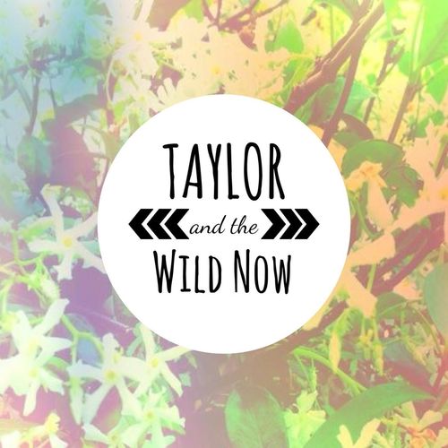 The Wild Now