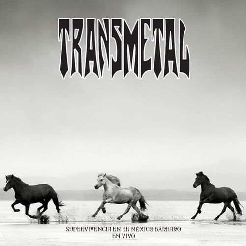 Transmetal