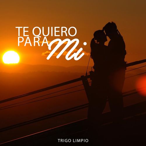 Trigo Limpio