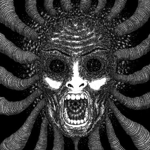 Ty Segall Band