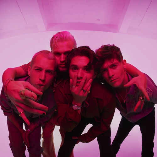 Vamps