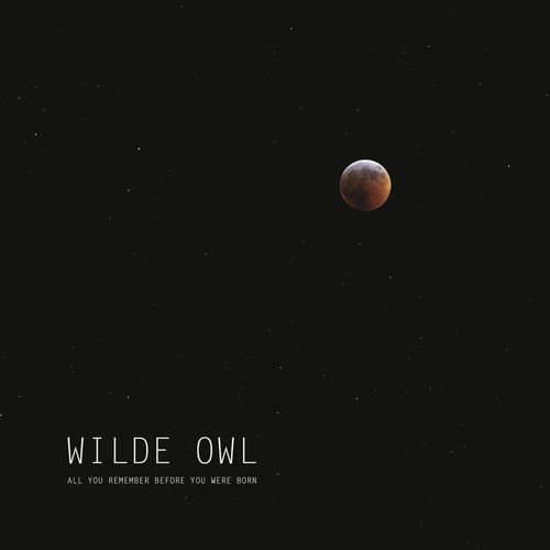 Wilde Owl