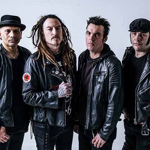 Wildhearts