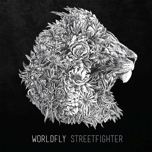 worldfly
