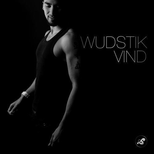 Wudstik