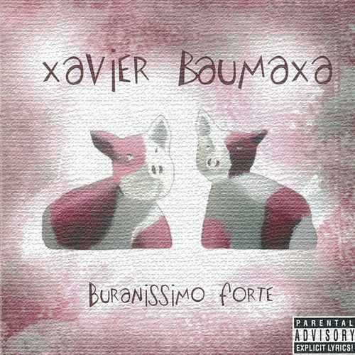 Xavier Baumaxa