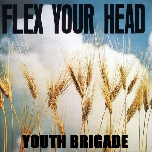 Youth Brigade