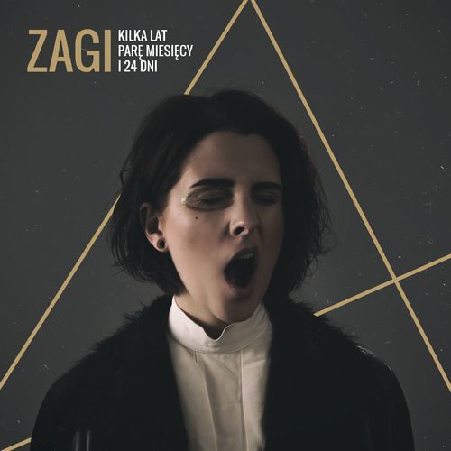 Zagi