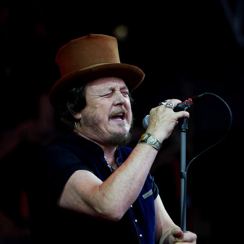Zucchero
